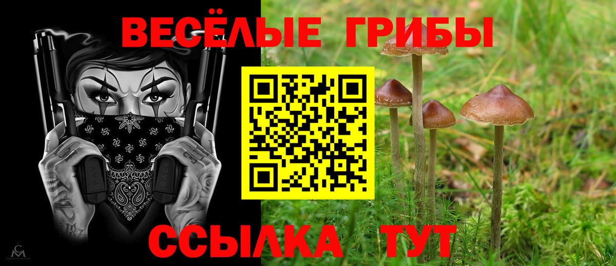 Псилоцибиновые грибы прущие грибы  как найти наркотики  Дзержинский 