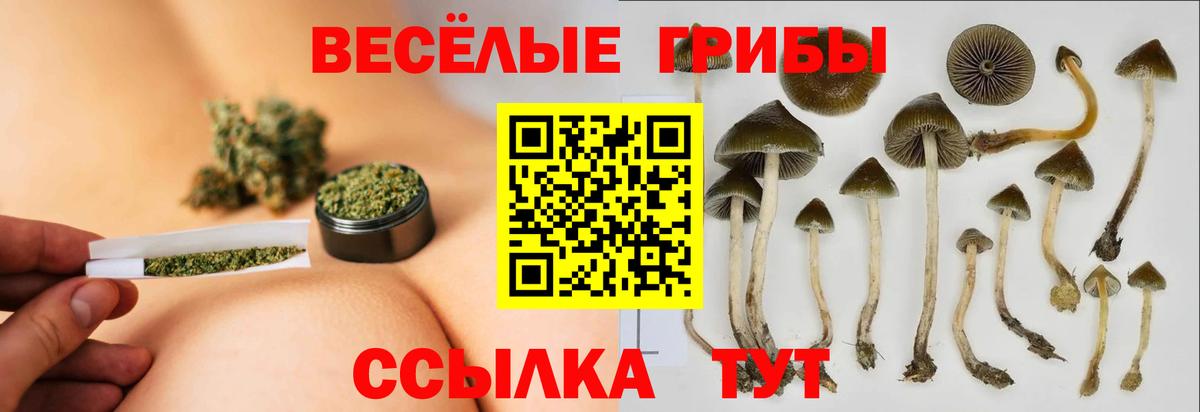 Дзержинский  Псилоцибиновые грибы мухоморы  Вход с VPN 